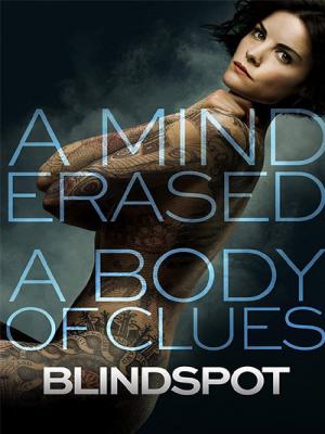 Blindspot Season 01